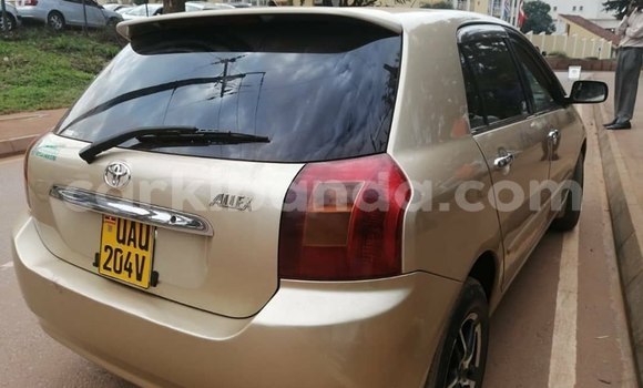 Buy Used Toyota Allex Brown Car in Kampala in Uganda Buy Used Toyota Allex Brown Car in Kampala in Uganda