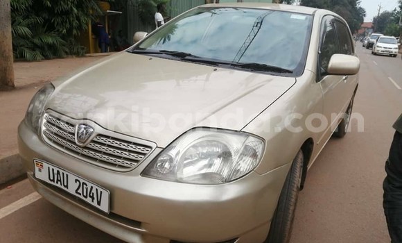 Buy Used Toyota Allex Brown Car in Kampala in Uganda Buy Used Toyota Allex Brown Car in Kampala in Uganda
