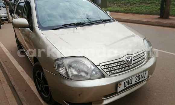 Buy Used Toyota Allex Brown Car in Kampala in Uganda Buy Used Toyota Allex Brown Car in Kampala in Uganda