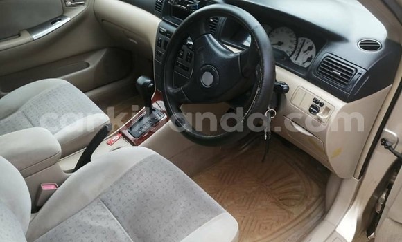Buy Used Toyota Allex Brown Car in Kampala in Uganda Buy Used Toyota Allex Brown Car in Kampala in Uganda