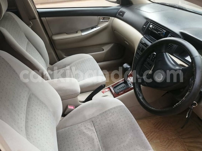 Big with watermark 69748771 1410119392469462 7546520013113393152 n