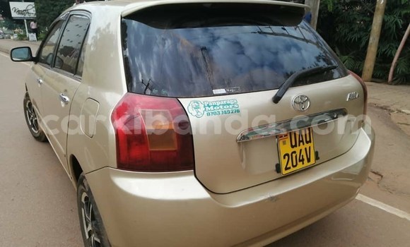 Buy Used Toyota Allex Brown Car in Kampala in Uganda Buy Used Toyota Allex Brown Car in Kampala in Uganda
