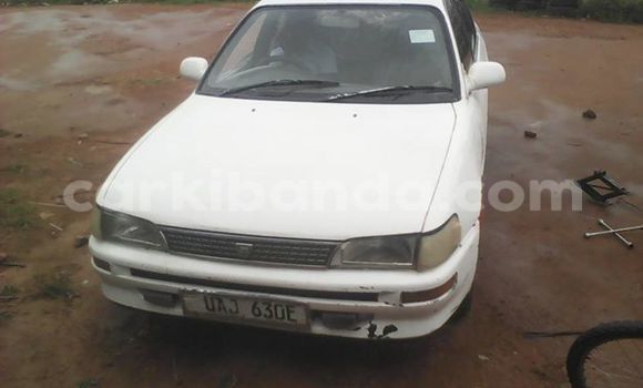 Buy Used Toyota Corolla White Car in Kampala in Uganda Buy Used Toyota Corolla White Car in Kampala in Uganda