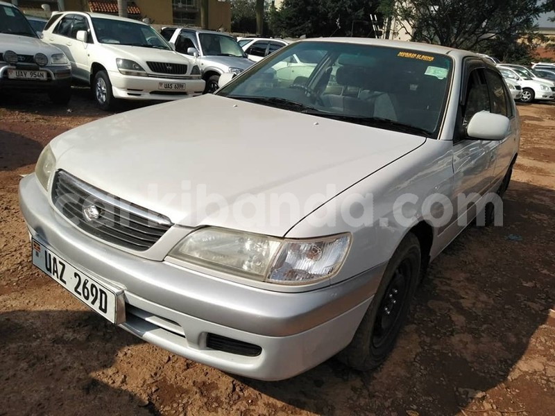 Big with watermark 69500914 1410112779136790 4445754745834962944 n