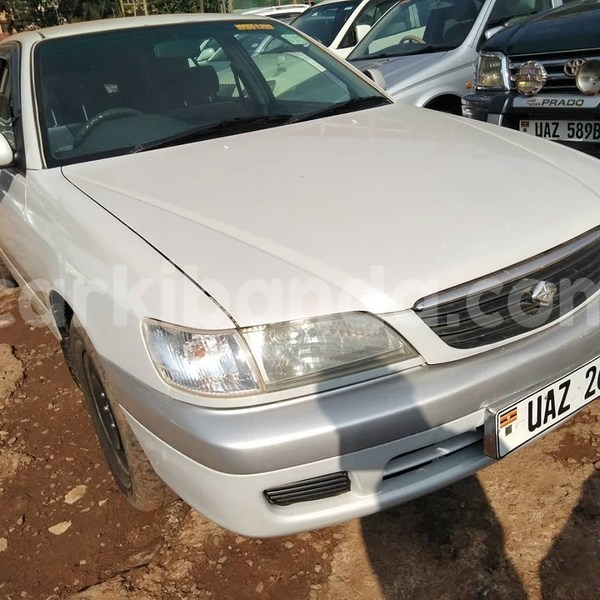 Big with watermark 69972220 1410112749136793 4469865970680201216 n