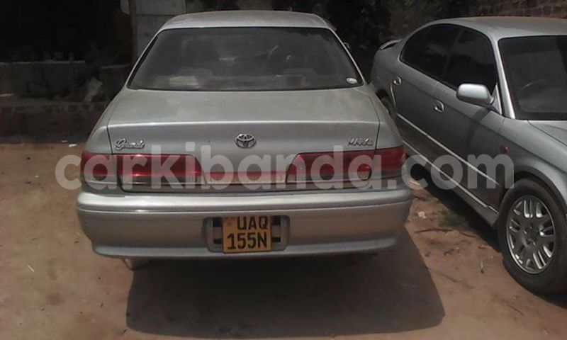 Big with watermark 14695326 1276538865723864 3907257530309395993 n