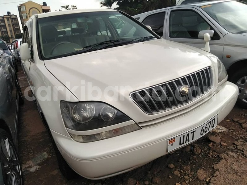 Big with watermark 69706282 1409032315911503 1215821893362253824 n