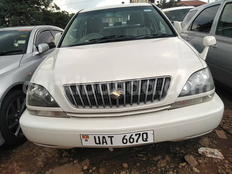 Big with watermark 70036416 1409032289244839 3428102428761784320 n