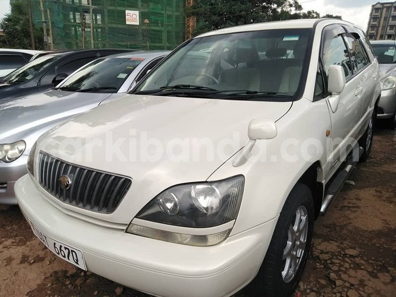 Big with watermark 69631563 1409032259244842 5074904219895463936 n