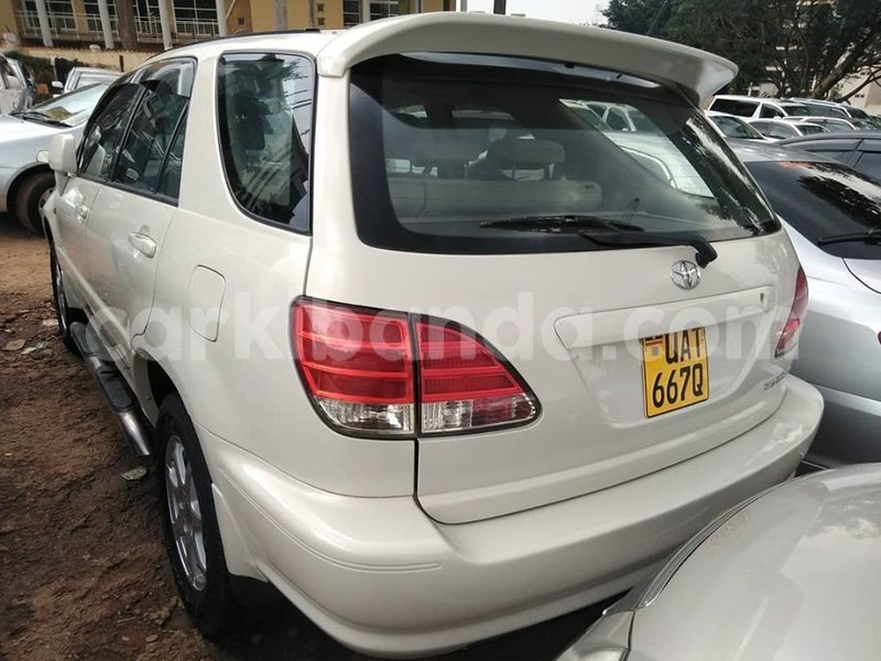 Big with watermark 69677887 1409032155911519 3846375854766555136 n