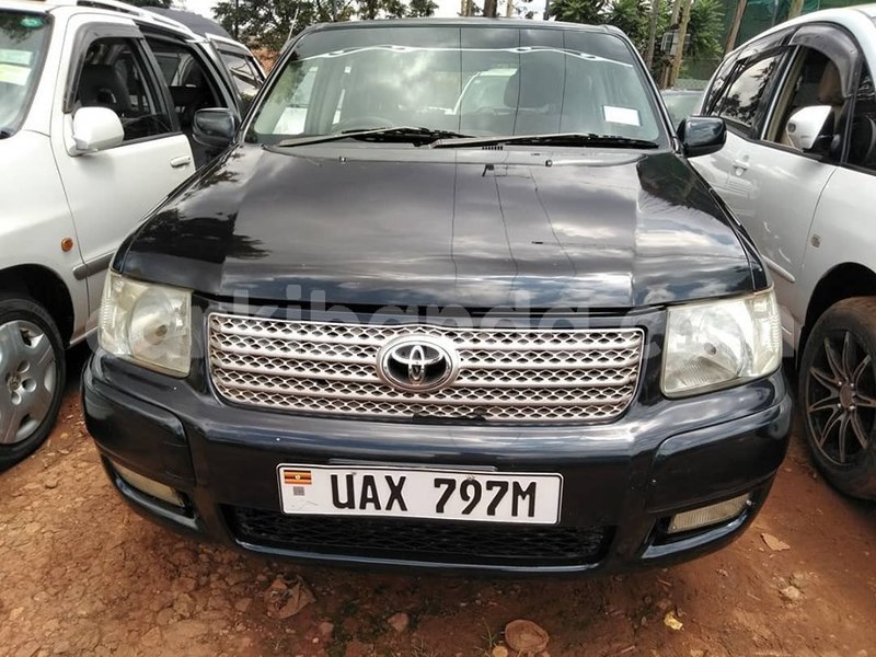 Big with watermark 69623235 1408383445976390 7736139825639587840 n