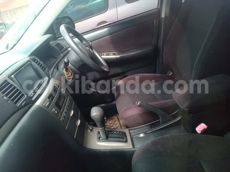 Big with watermark 69447827 1407503856064349 251942553950093312 n