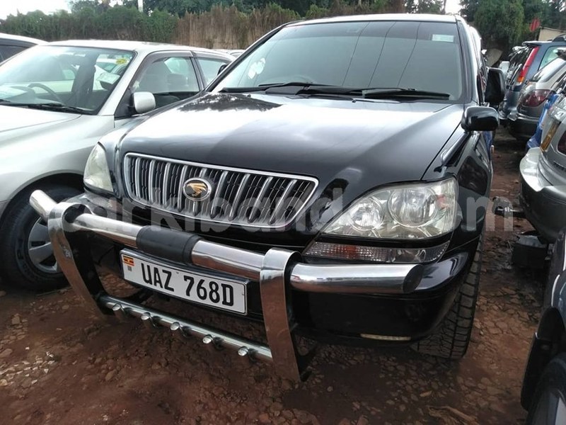 Big with watermark 70118238 1407501139397954 7155051211714985984 n