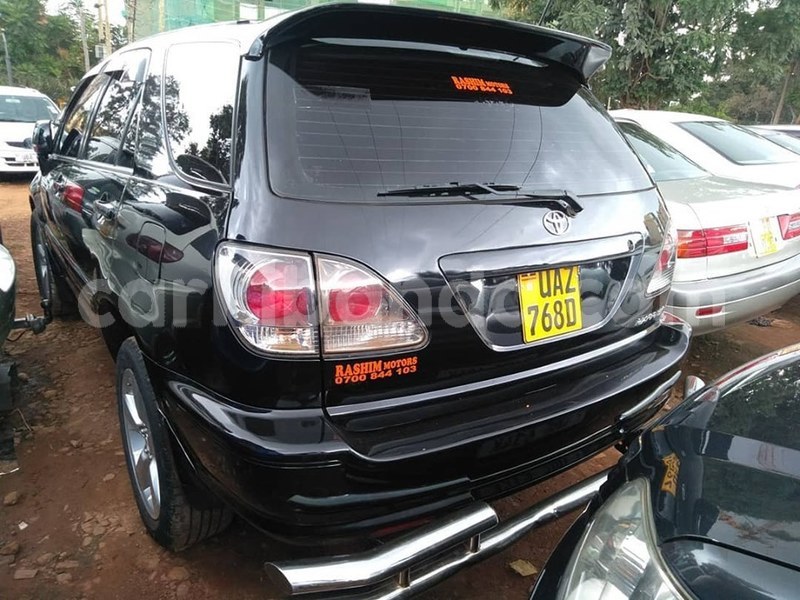 Big with watermark 69355479 1407500999397968 4016731313041047552 n