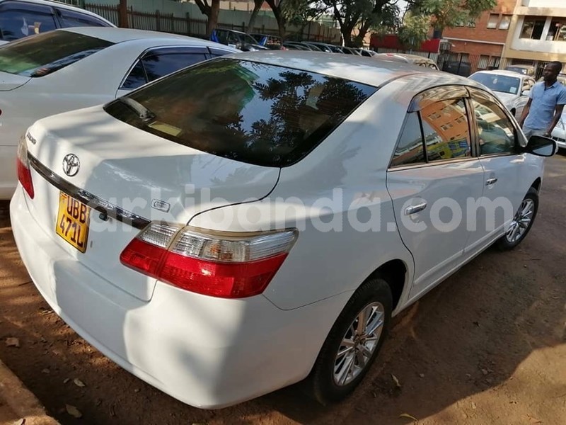 Big with watermark 70140853 1407396502741751 5177542822894501888 n