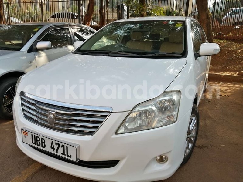 Big with watermark 69347842 1407396479408420 67626463393742848 n