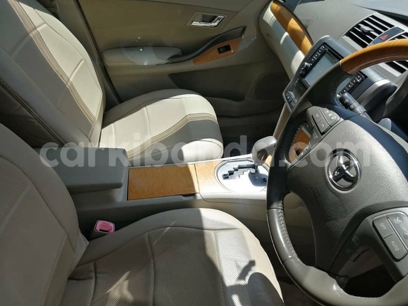 Big with watermark 69398838 1407396449408423 4372803085634895872 n