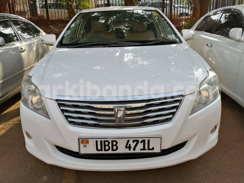 Big with watermark 69329736 1407396409408427 3723685556996014080 n