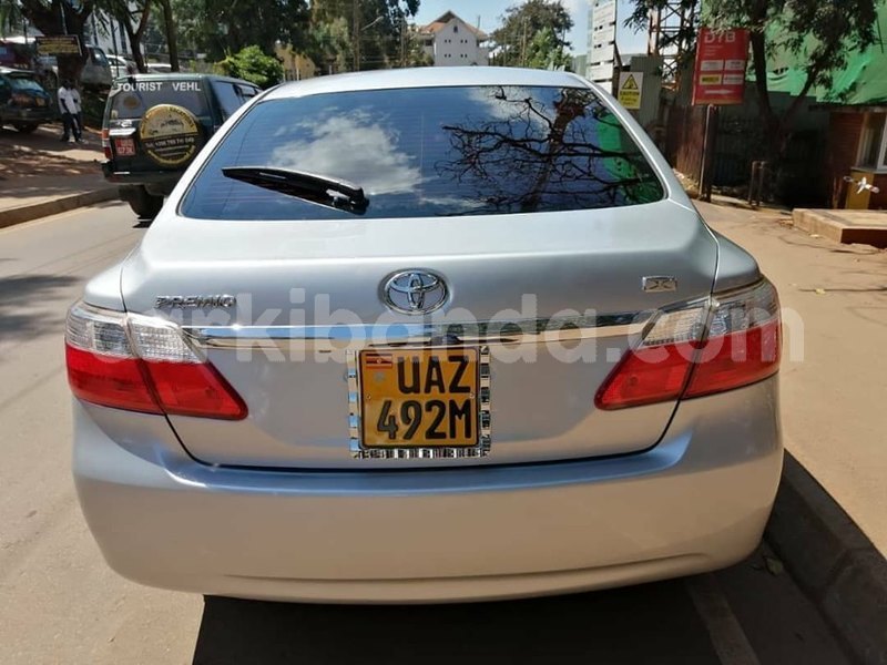 Big with watermark 69808448 1407394176075317 6257471474269945856 n