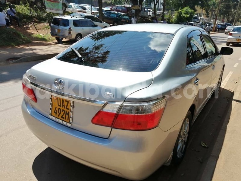 Big with watermark 69650215 1407394072741994 3615635196419768320 n