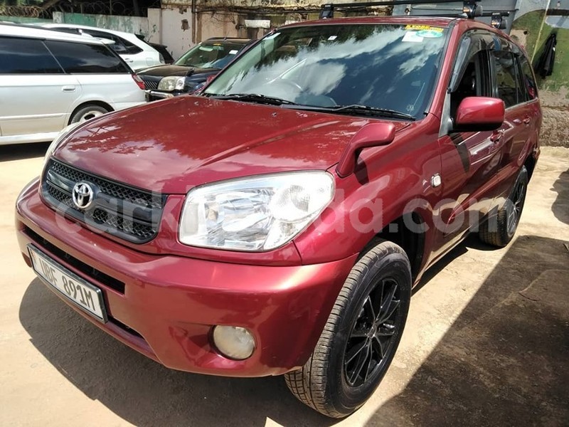 Big with watermark 69559688 1407390212742380 6113475042039824384 n