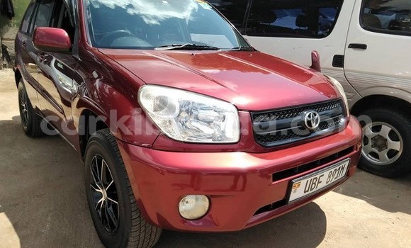 Buy Used Toyota RAV4 Red Car in Kampala in Uganda Buy Used Toyota RAV4 Red Car in Kampala in Uganda