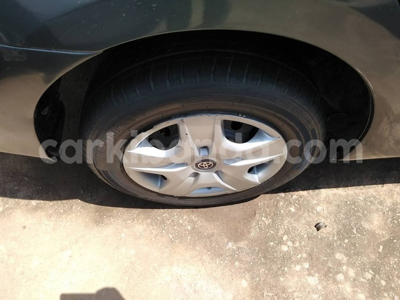 Big with watermark 69540023 1407389176075817 1645245715892404224 n