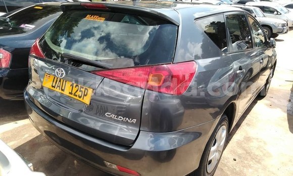 Buy Used Toyota Caldina Other Car in Kampala in Uganda Buy Used Toyota Caldina Other Car in Kampala in Uganda