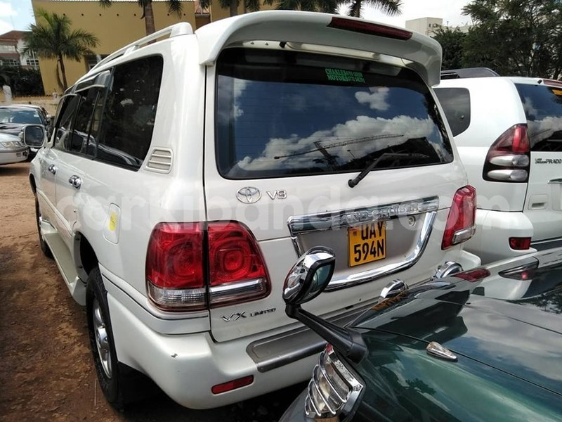 Big with watermark 69520287 1407385319409536 3533327873383333888 n