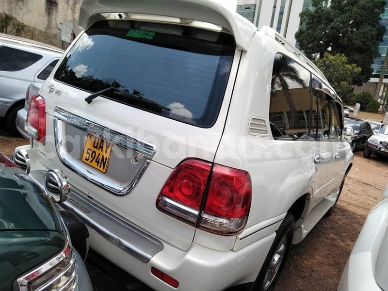 Big with watermark 69834090 1407385286076206 961385067219779584 n