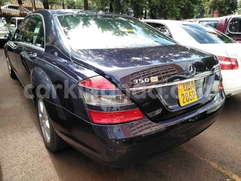 Big with watermark 69515886 1406616349486433 3703356952798035968 n