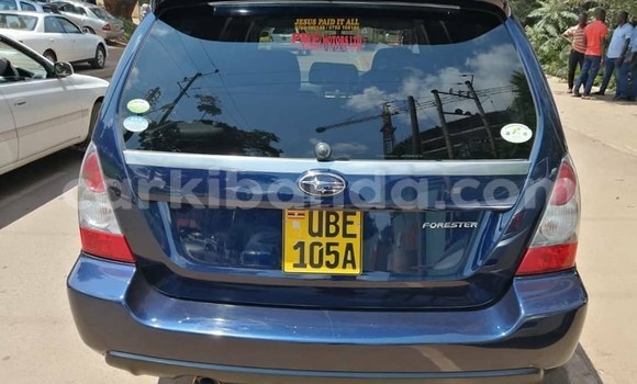 Buy Used Subaru Forester Blue Car in Kampala in Uganda Buy Used Subaru Forester Blue Car in Kampala in Uganda