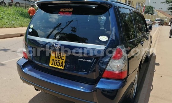 Buy Used Subaru Forester Blue Car in Kampala in Uganda Buy Used Subaru Forester Blue Car in Kampala in Uganda