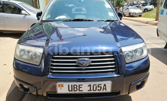 Buy Used Subaru Forester Blue Car in Kampala in Uganda Buy Used Subaru Forester Blue Car in Kampala in Uganda