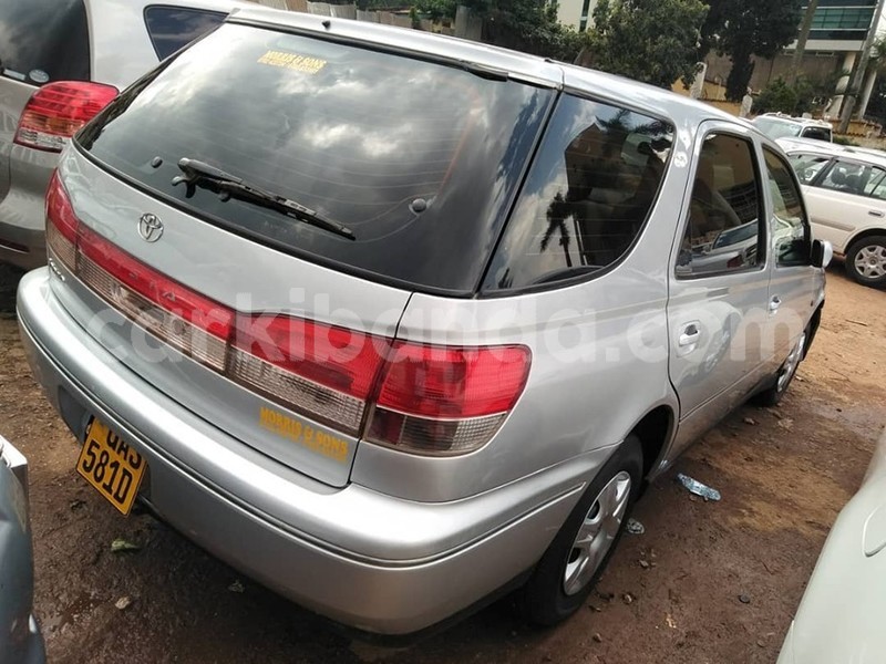 Big with watermark 69809394 1405769549571113 4860618474612850688 n