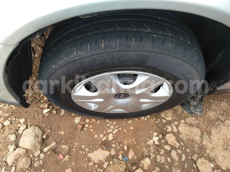 Big with watermark 69752942 1405769449571123 4580935512876908544 n