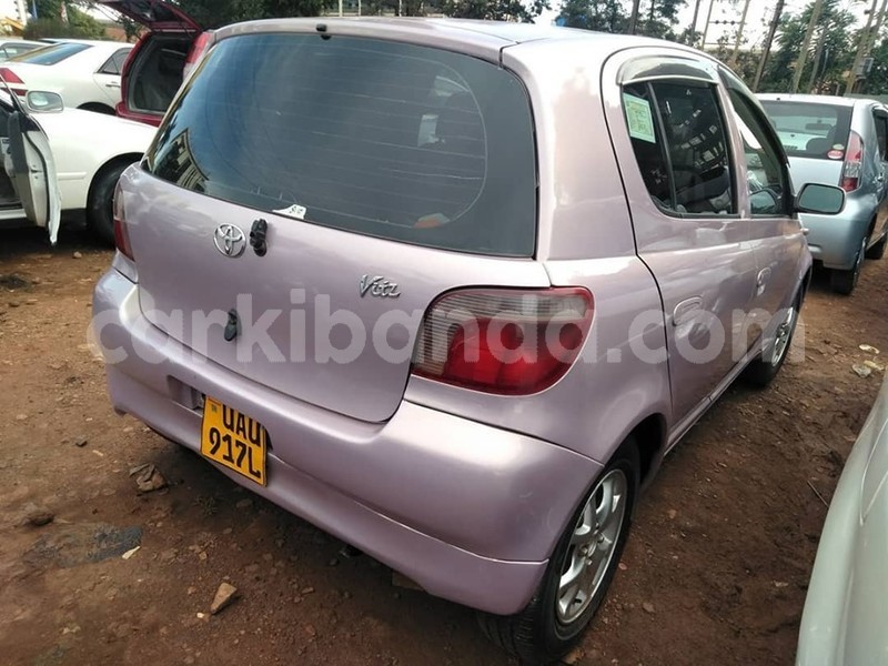 Big with watermark 69362076 1405767289571339 4239236582051151872 n