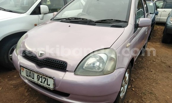 Buy Used Toyota Vitz Other Car in Kampala in Uganda Buy Used Toyota Vitz Other Car in Kampala in Uganda