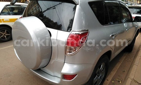 Buy Used Toyota RAV4 Silver Car in Kampala in Uganda Buy Used Toyota RAV4 Silver Car in Kampala in Uganda