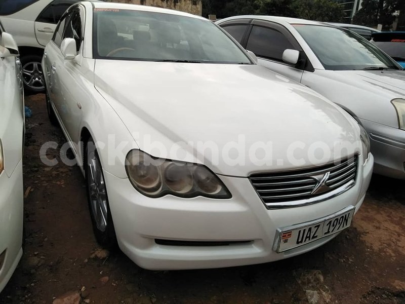 Big with watermark 69574001 1402687299879338 5580770540374720512 n