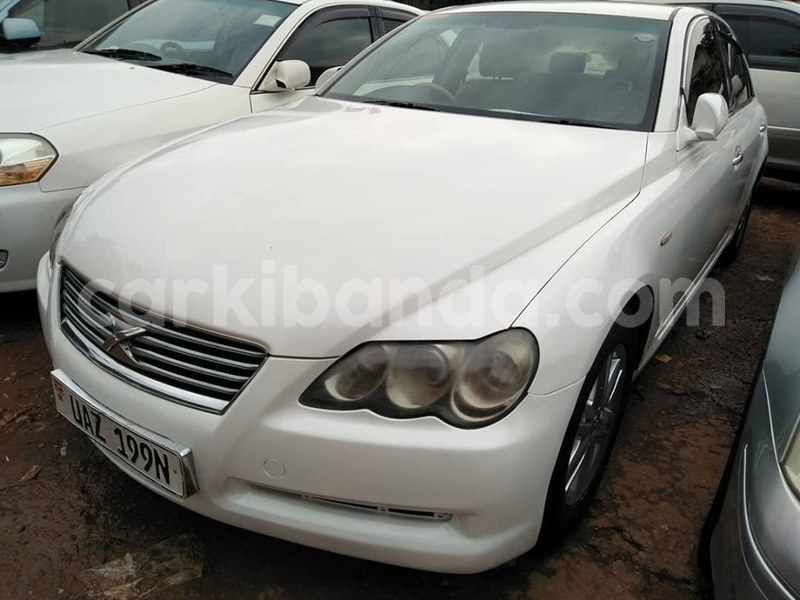 Big with watermark 69680433 1402687273212674 7503542006254141440 n