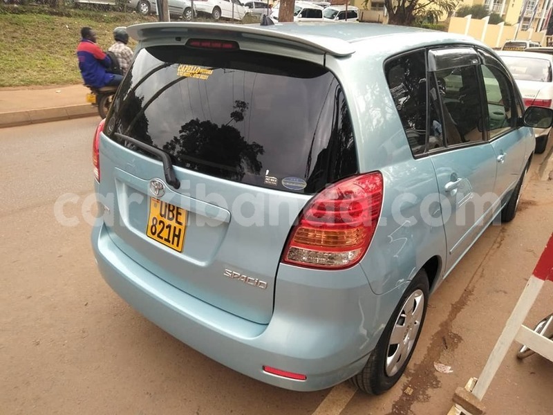 Big with watermark 69030342 1401911116623623 5744898197285765120 n 1