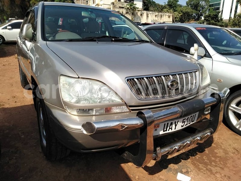 Big with watermark 69381737 1400479600100108 451954319021834240 n