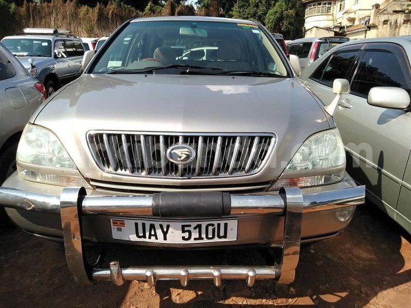 Big with watermark 69311513 1400479563433445 2616657135156592640 n