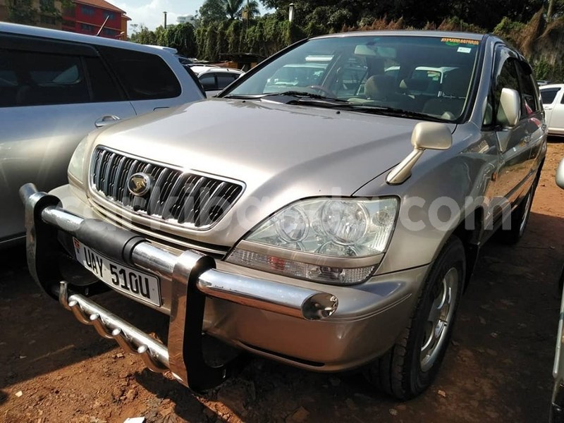 Big with watermark 69392228 1400479520100116 3578795294826954752 n