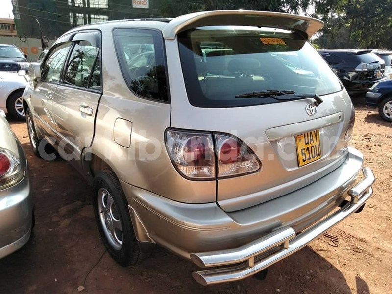 Big with watermark 68925889 1400479363433465 6009333183307317248 n