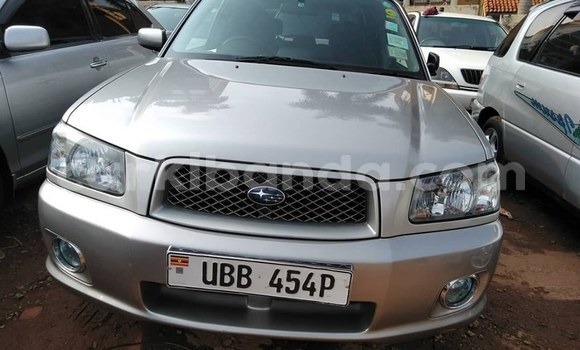 Buy Used Subaru Forester Silver Car in Kampala in Uganda Buy Used Subaru Forester Silver Car in Kampala in Uganda