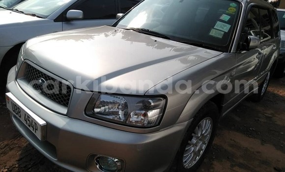 Buy Used Subaru Forester Silver Car in Kampala in Uganda Buy Used Subaru Forester Silver Car in Kampala in Uganda
