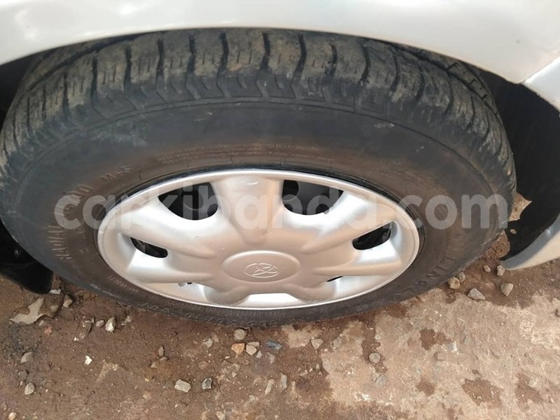 Big with watermark 69001504 1396403010507767 4262576666993229824 n