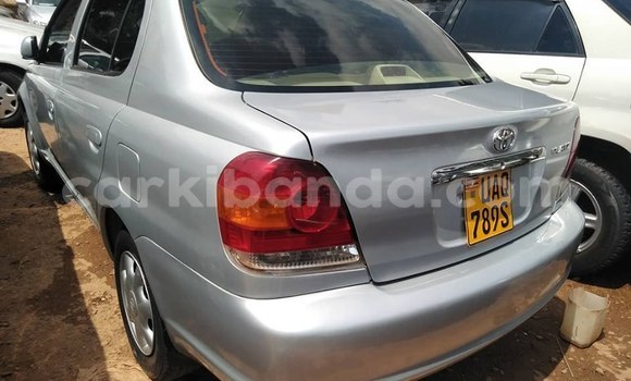 Buy Used Toyota Platz Silver Car in Kampala in Uganda Buy Used Toyota Platz Silver Car in Kampala in Uganda